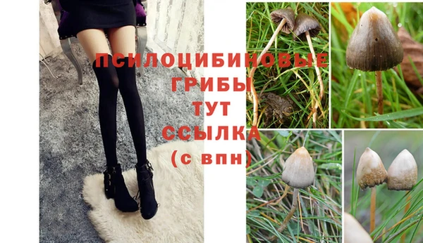 марихуана Вязьма