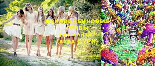 дурь Горнозаводск