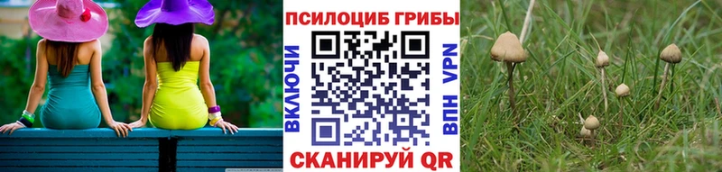 наркота  МЕГА рабочий сайт  Псилоцибиновые грибы Psilocybe  Инза 